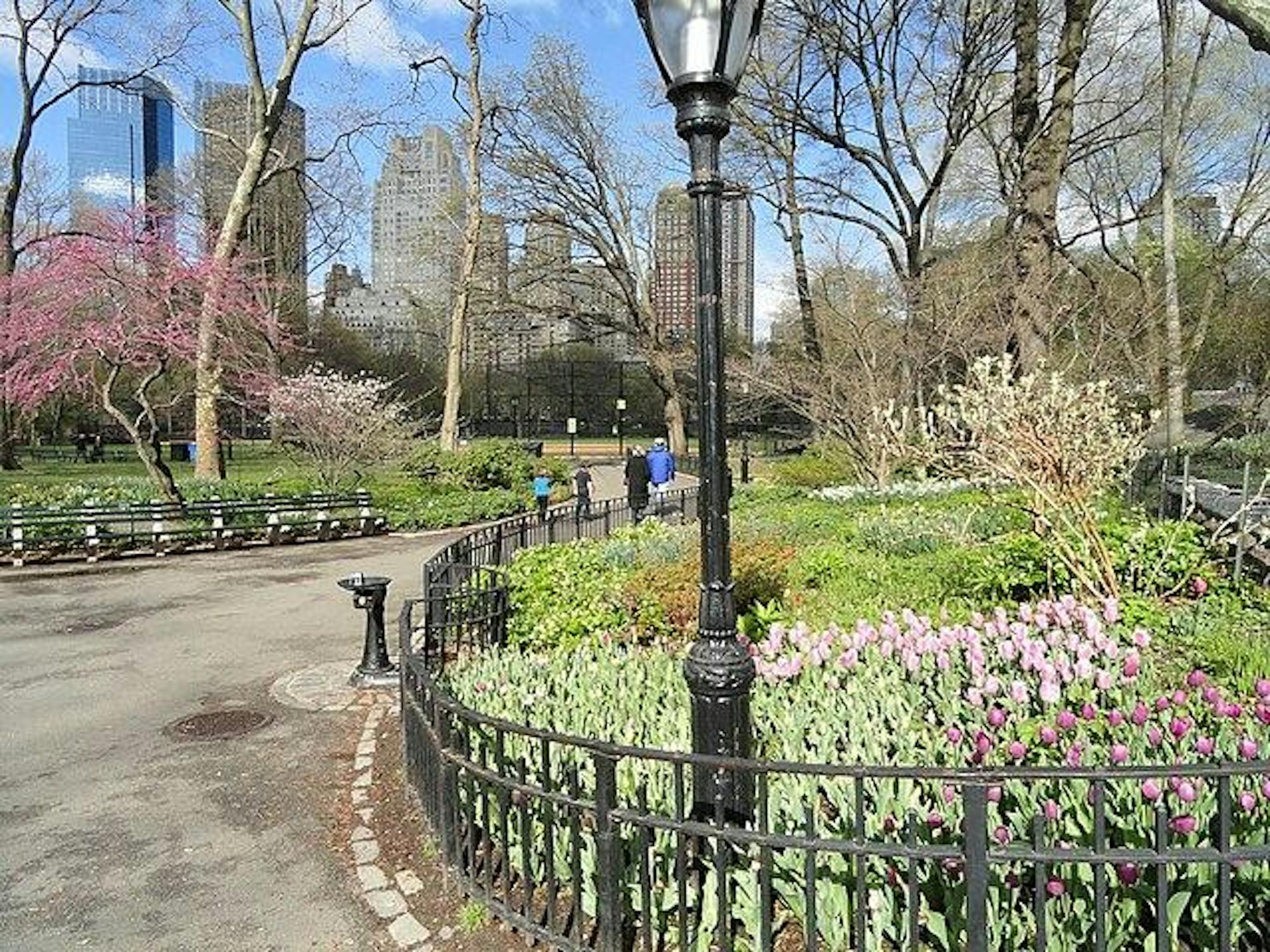 Walking_paths_in_Central_Park_-_DSC05937.jpg
