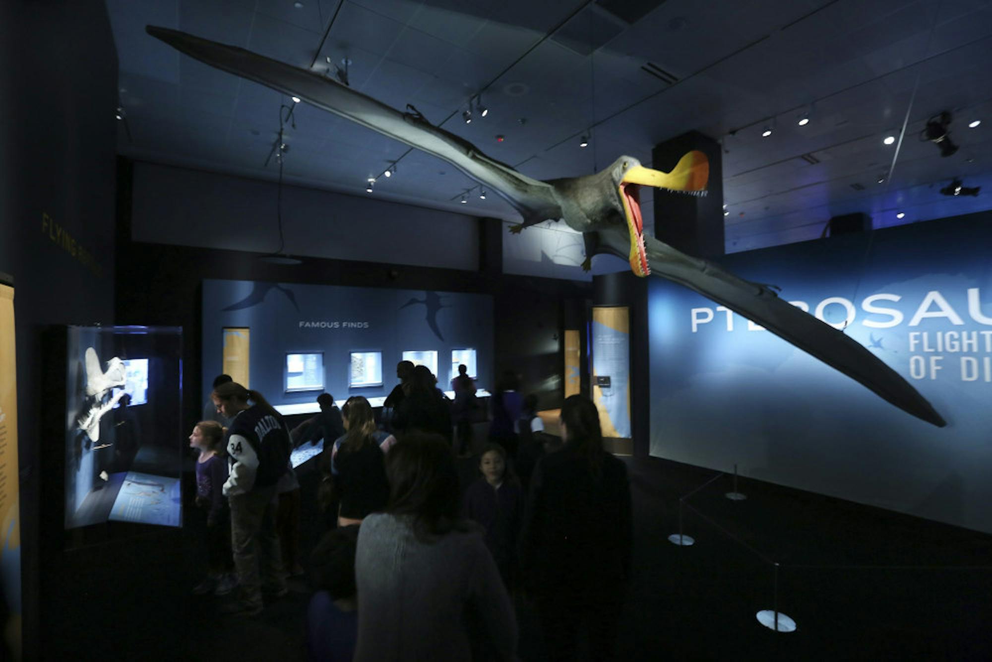 DINOSAUR_EXHIBIT_REVIEW_3-scaled