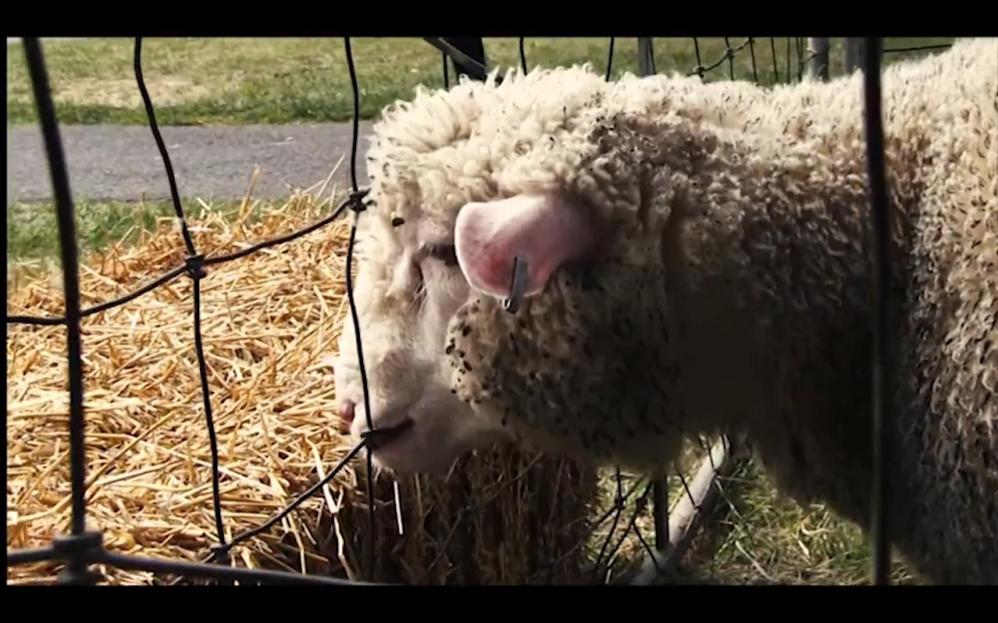 Screen-shot-2015-10-04-at-10.45.09-PM