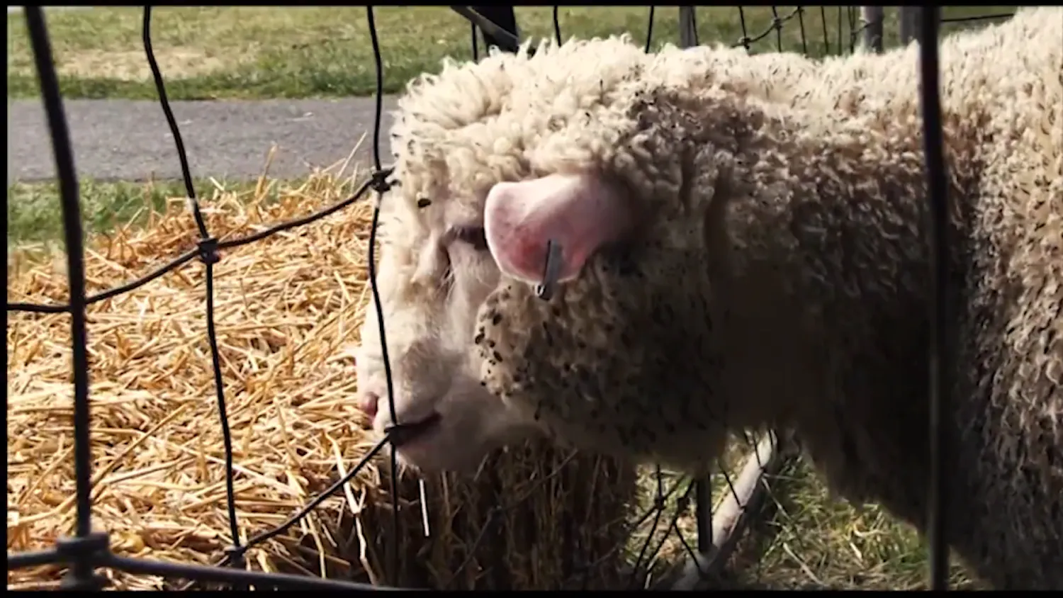 Screen-shot-2015-10-04-at-10.45.09-PM