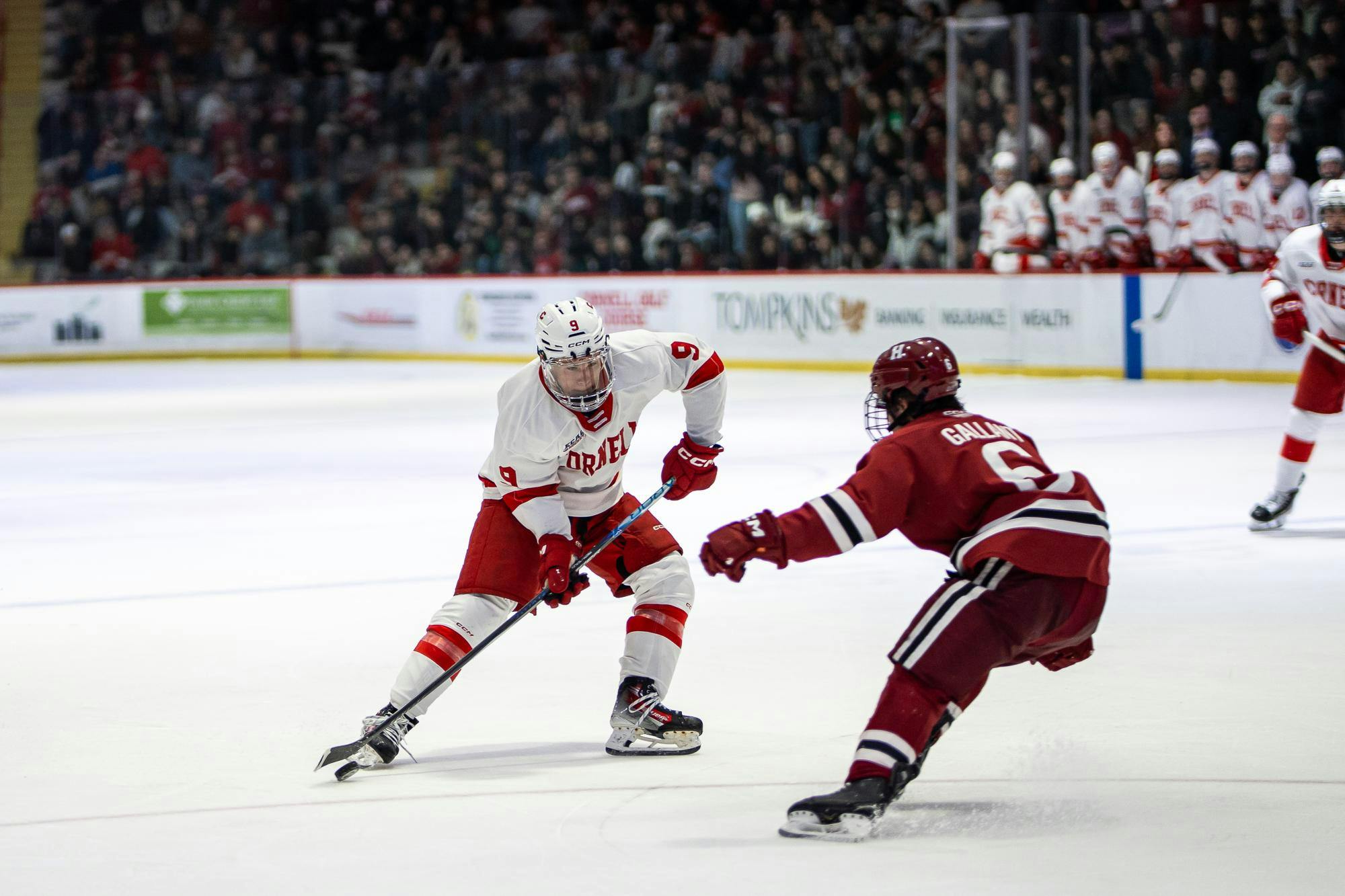 ECAC quarters v Harvard-17.jpg