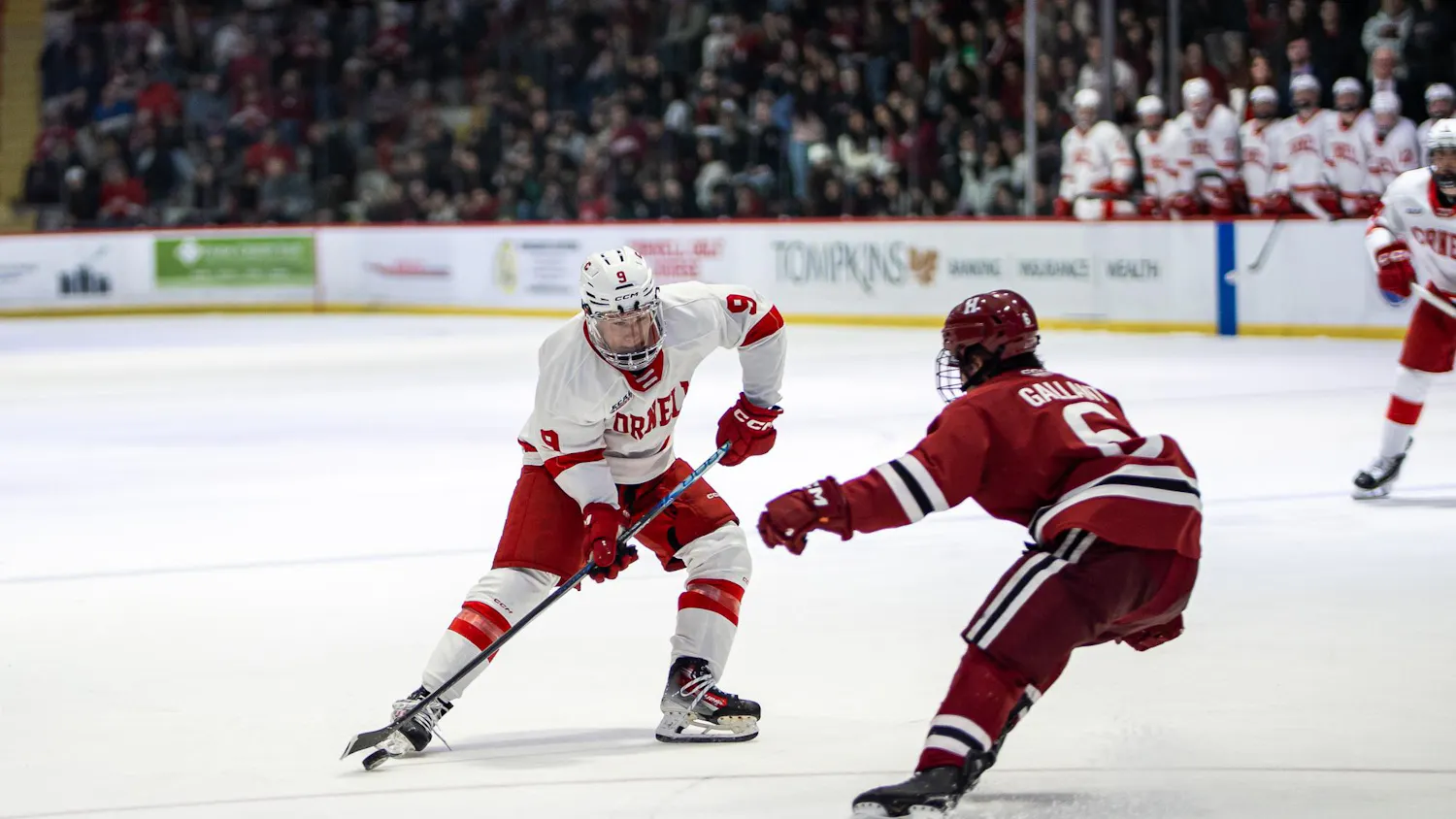 ECAC quarters v Harvard-17.jpg