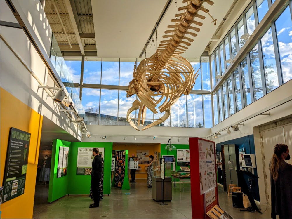 Screen-Shot-2022-04-20-at-7.02.58-PM