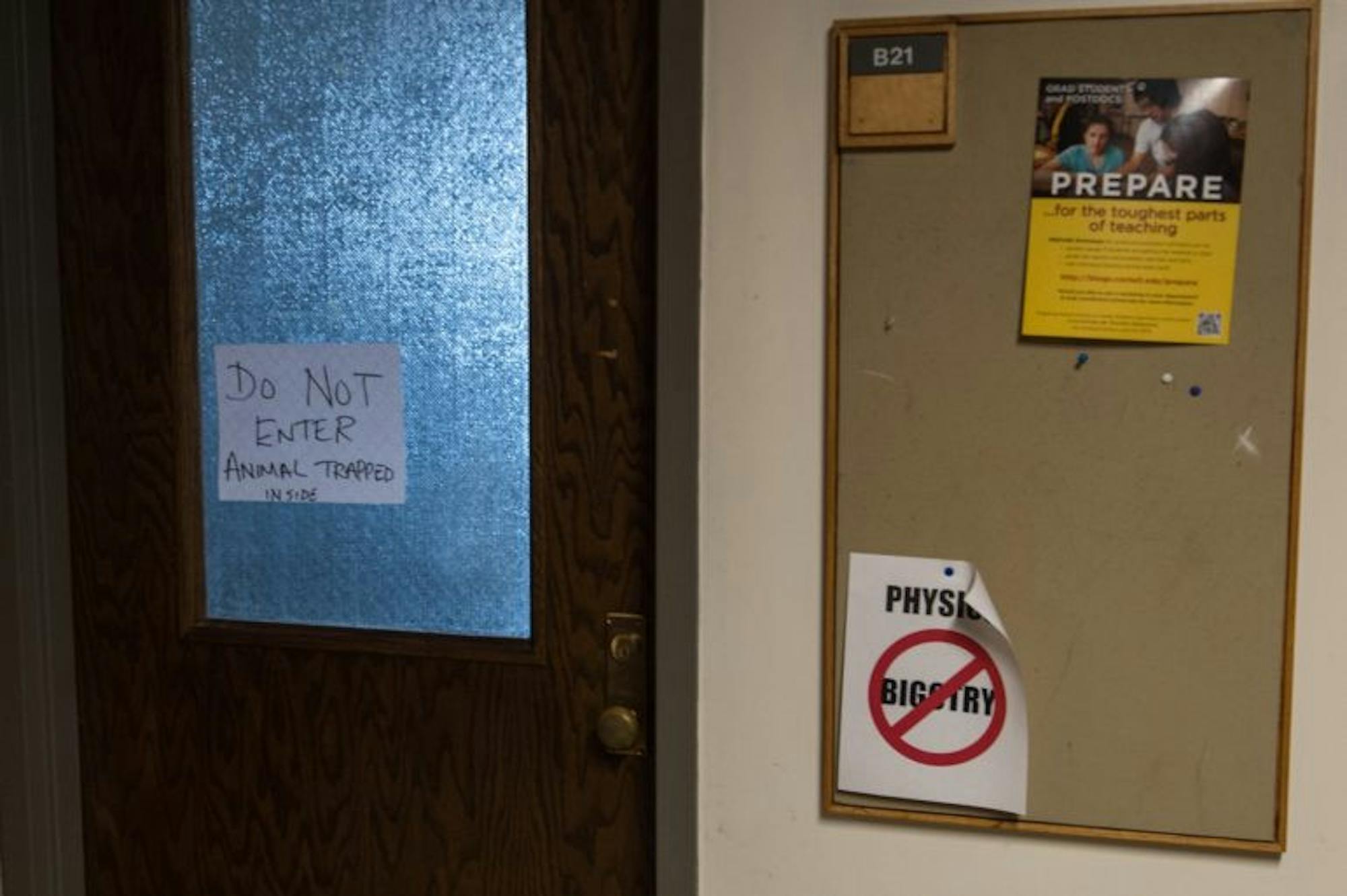 CBP_7758.jpg-771x513