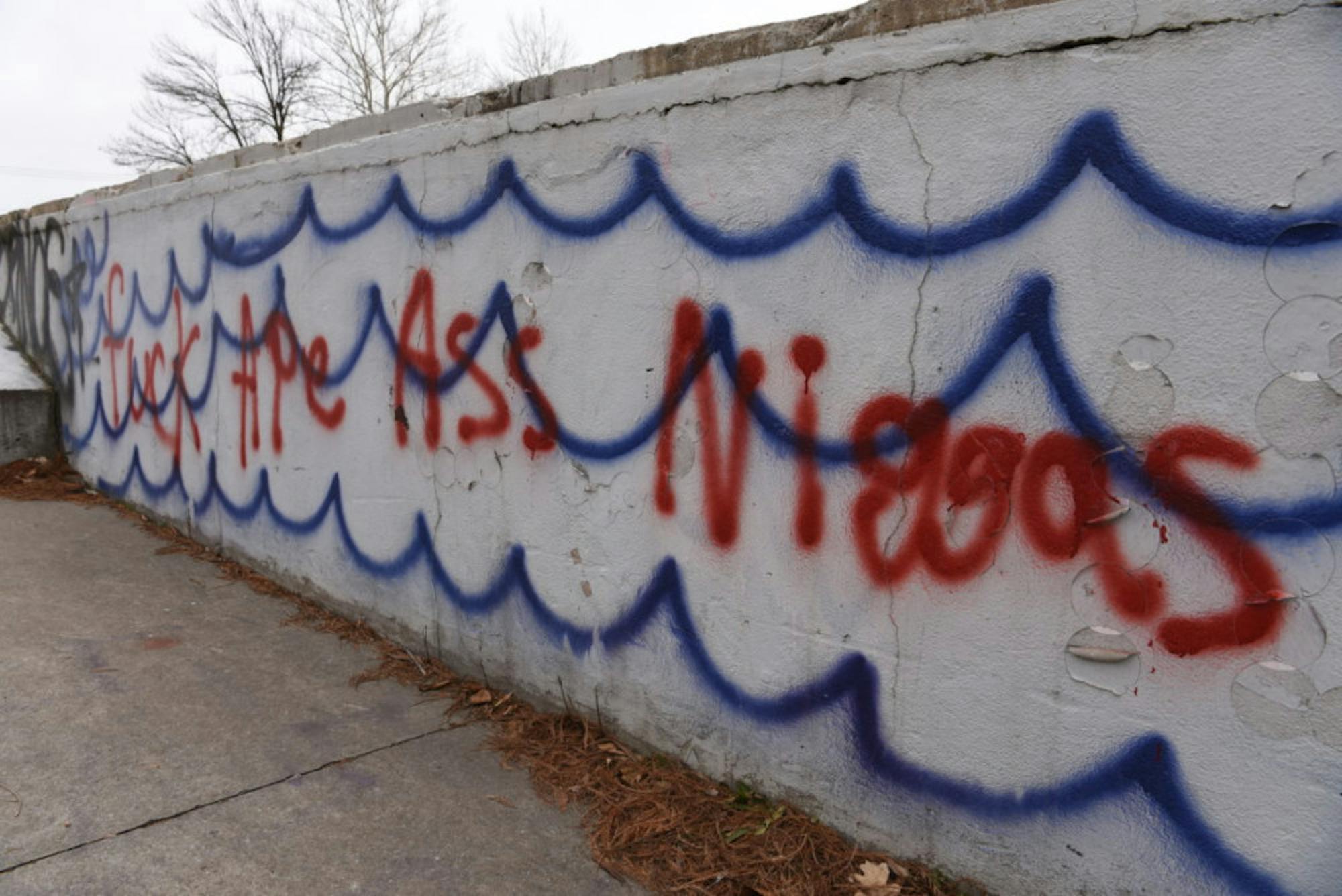 Ithaca Police Chief Pete Tyler called the graffiti