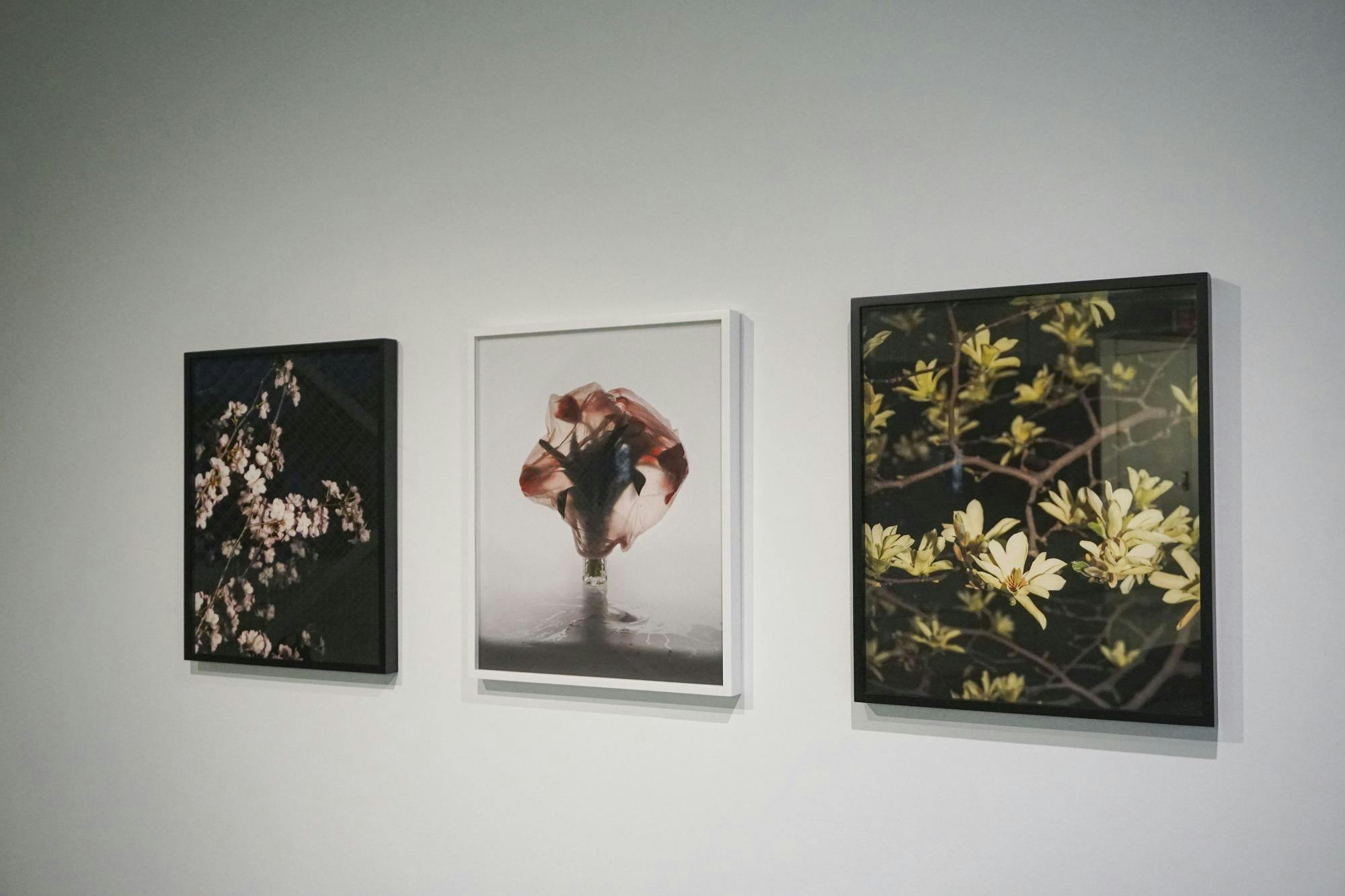 _The Cherry Blossoms You Missed_ art exhibit in Milstein Hall on Sept. 25, 2026. (Sophia Romanov Imber - Sun Associate Editor)-7.jpg