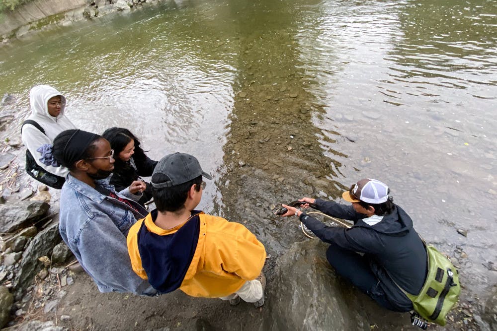 Fish-Migration-by-Cami-Armendariz-Staff-Writer