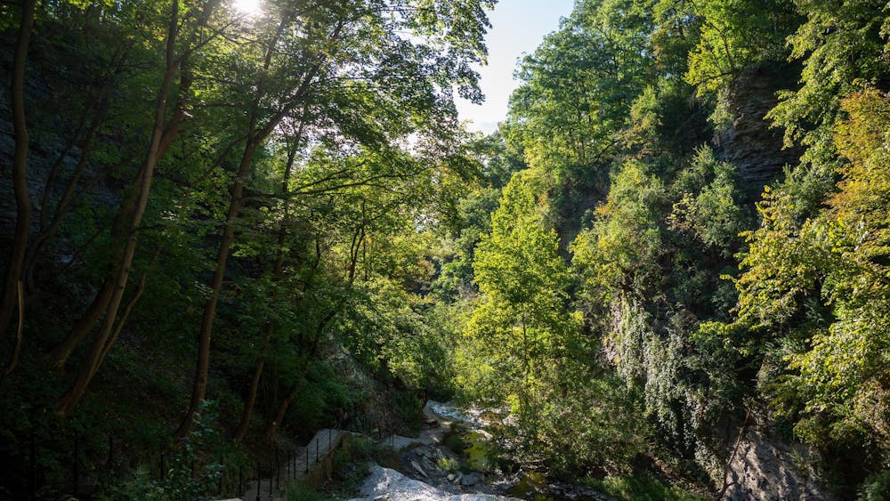 untitled shoot-3097.jpg