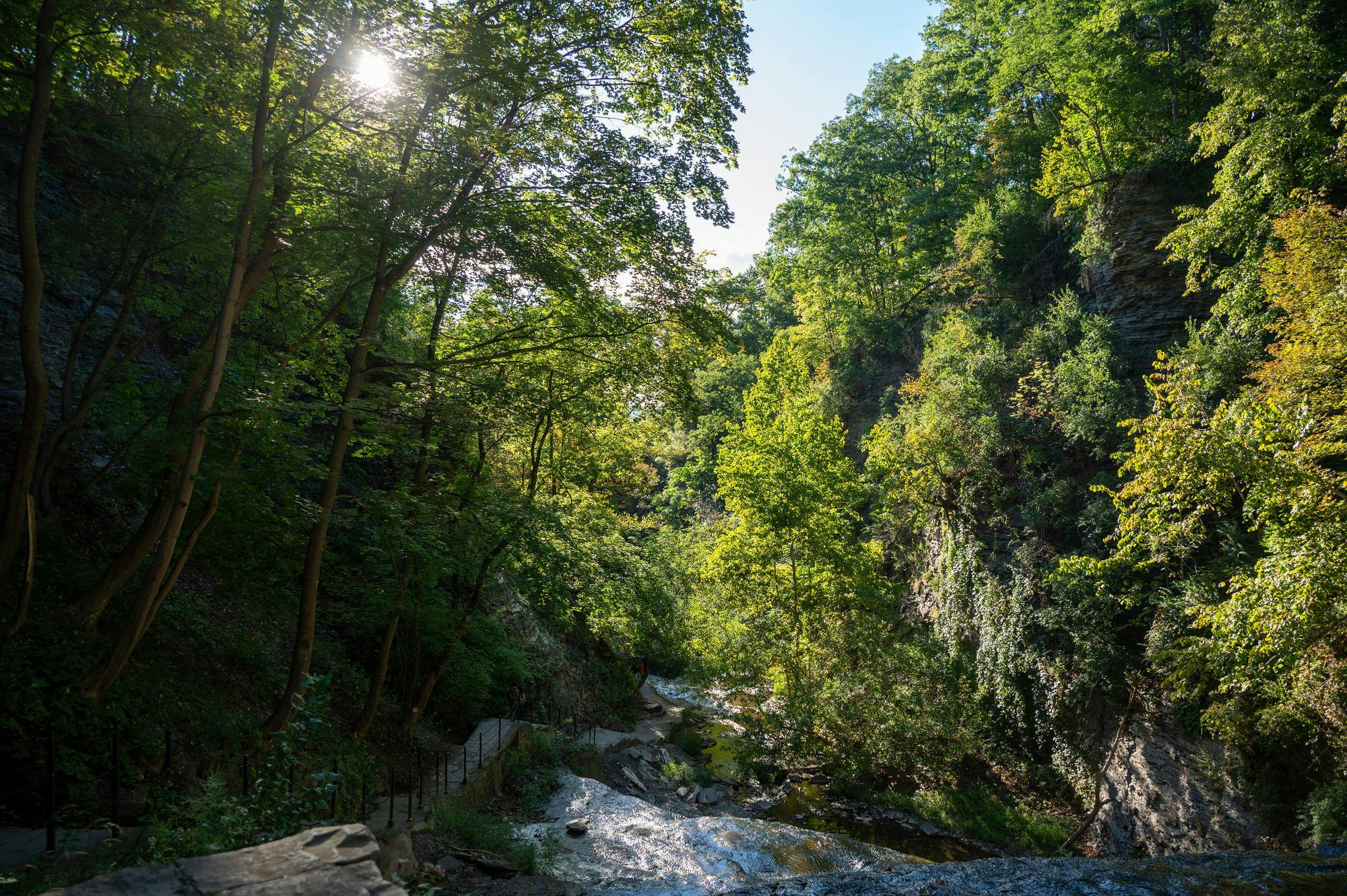 untitled shoot-3097.jpg