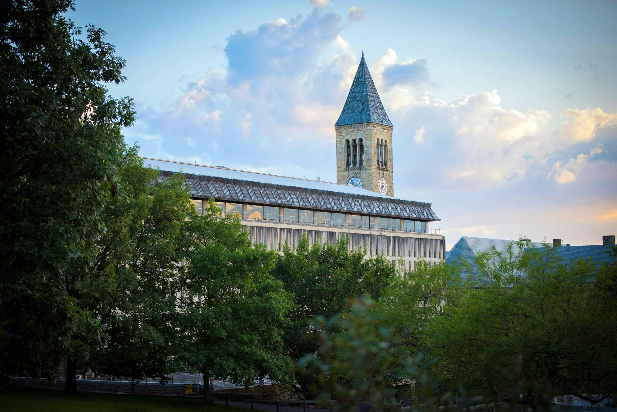 Cornell University Olin