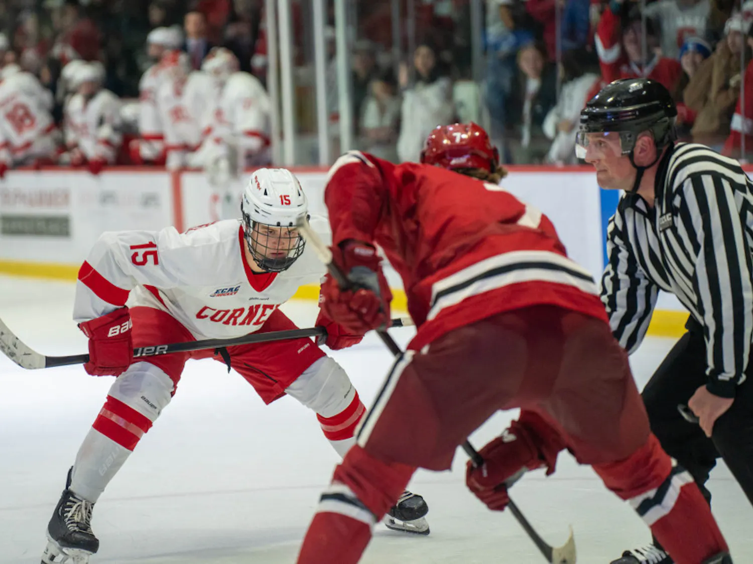 MTD-MHockey-Harvard-02592-1