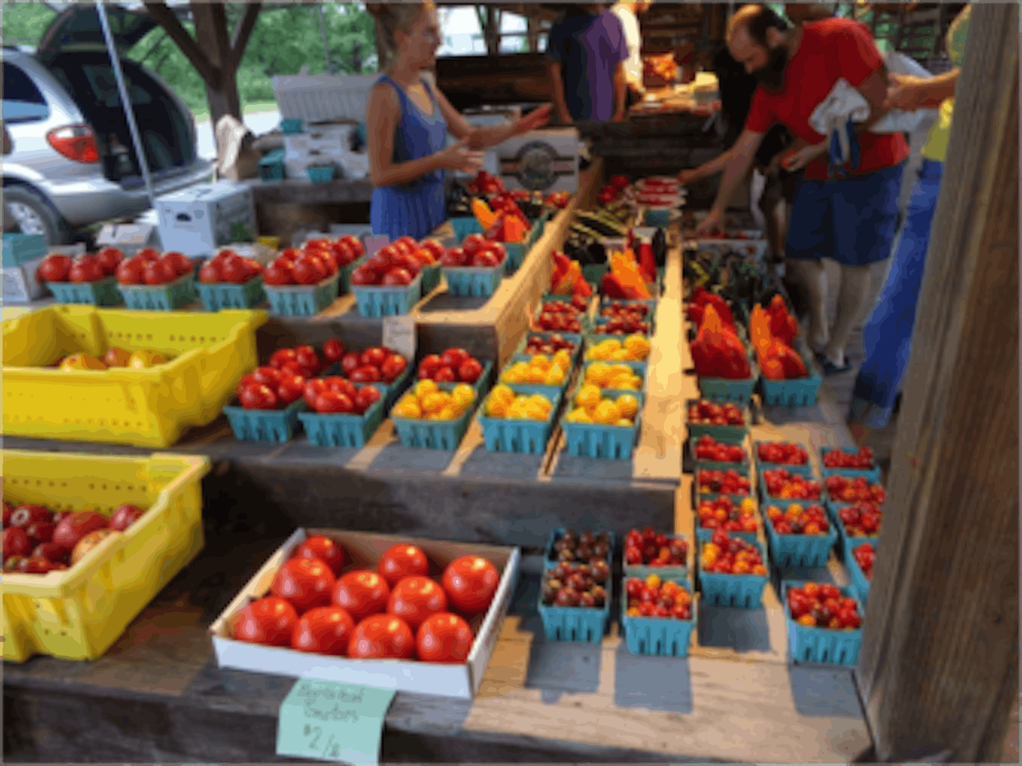 Qijia Yu / Sun Staff Writer