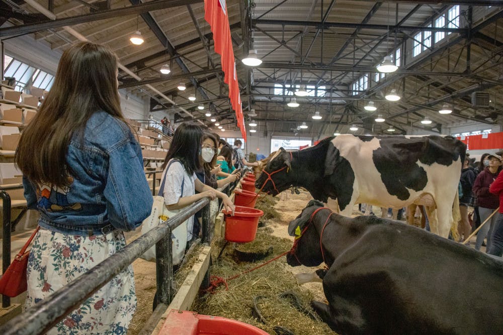 web-CUDS-Open-House-by-Julia-Nagel