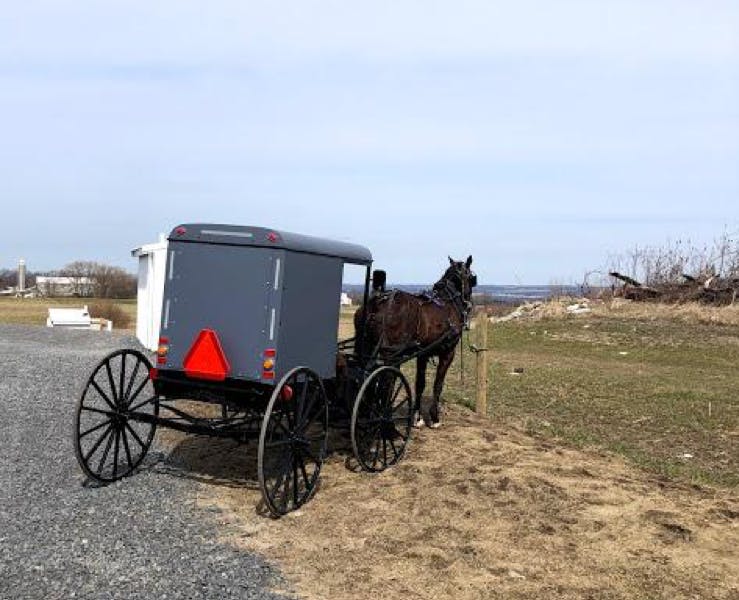 DINING.horse_buggy