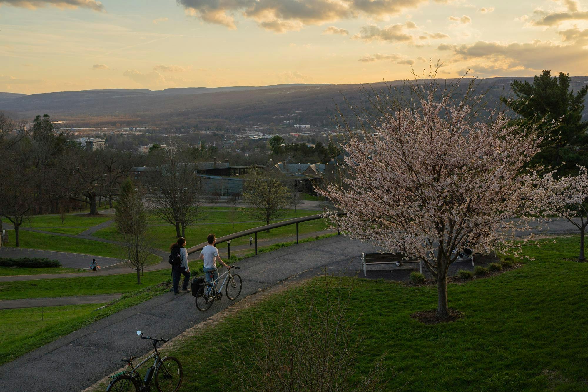 Campus