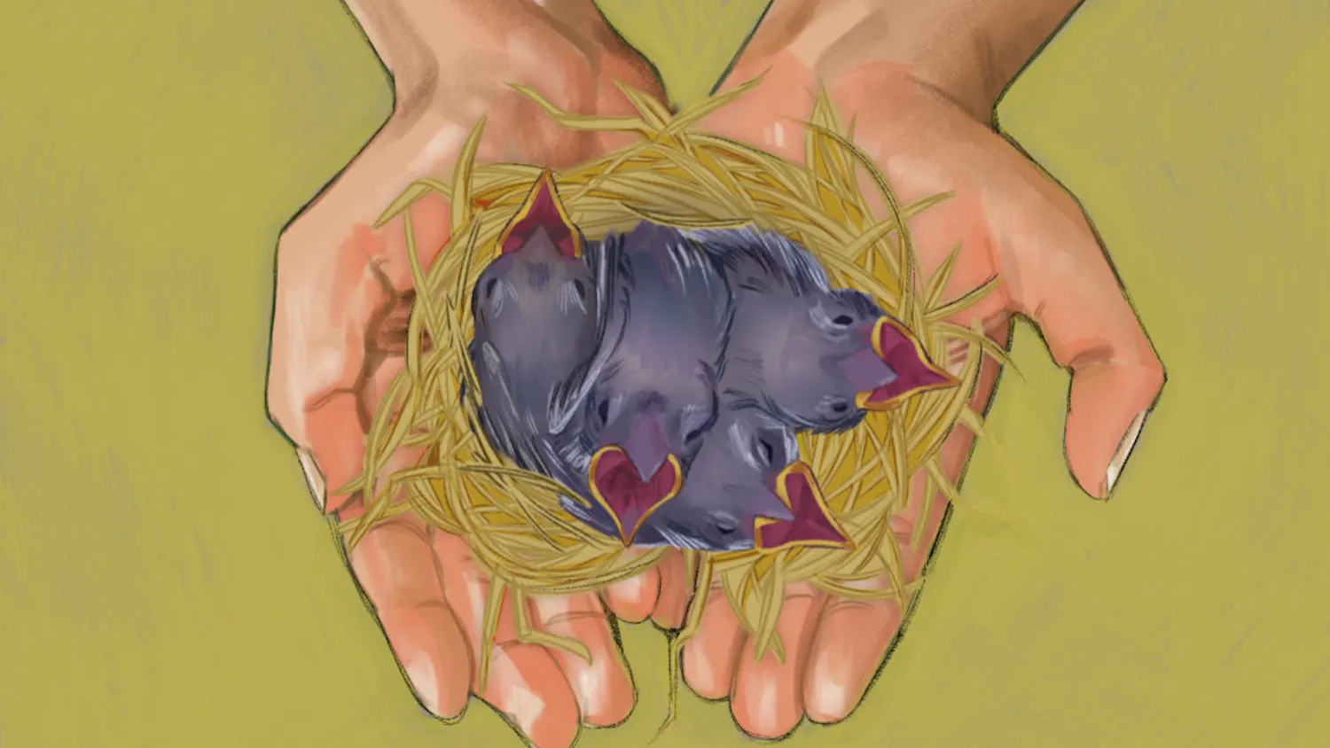 Bird_Nest_Graphic