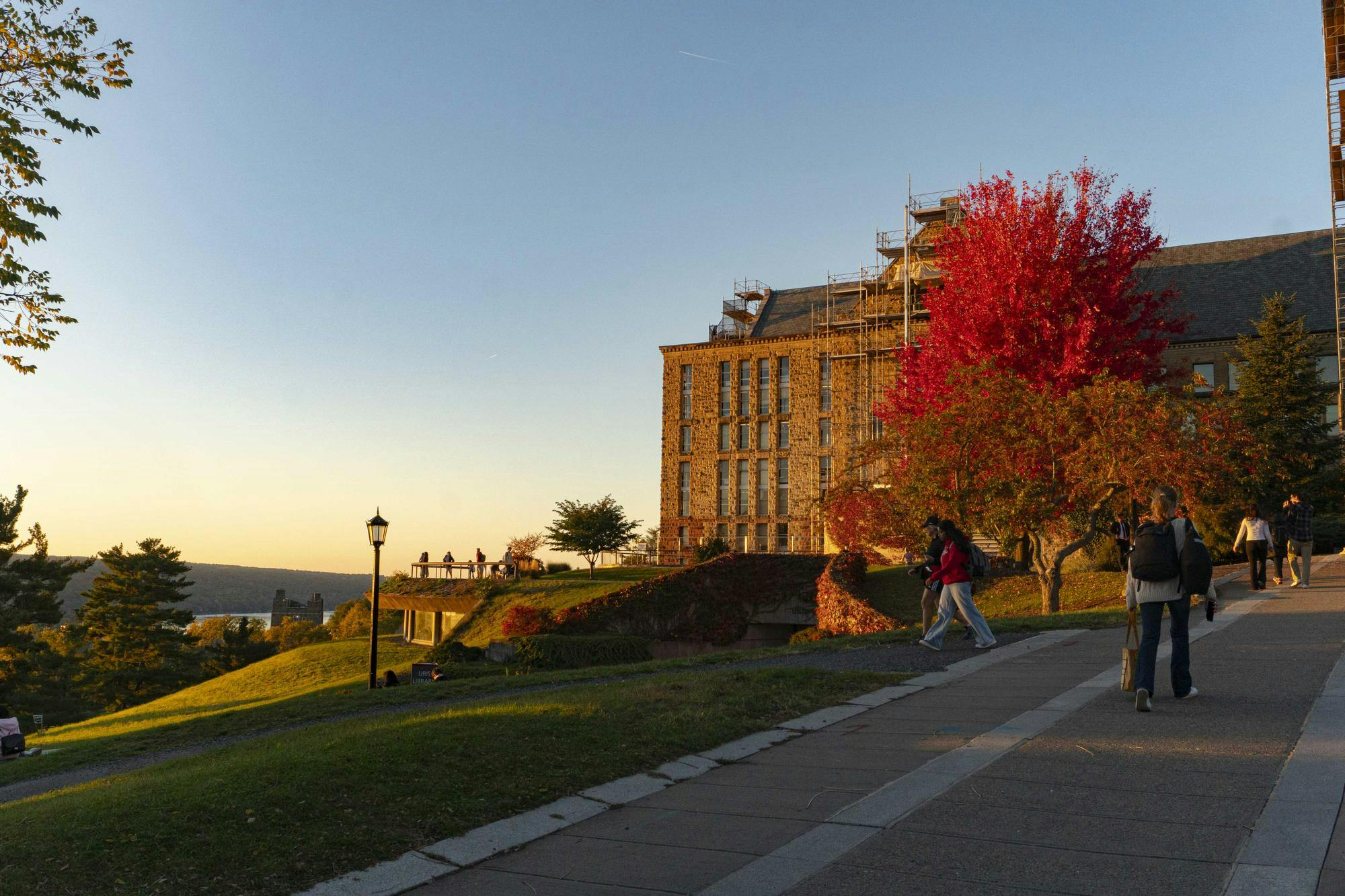 Fall Candids October 2024 - Sophia Romanov Imber-2.jpg