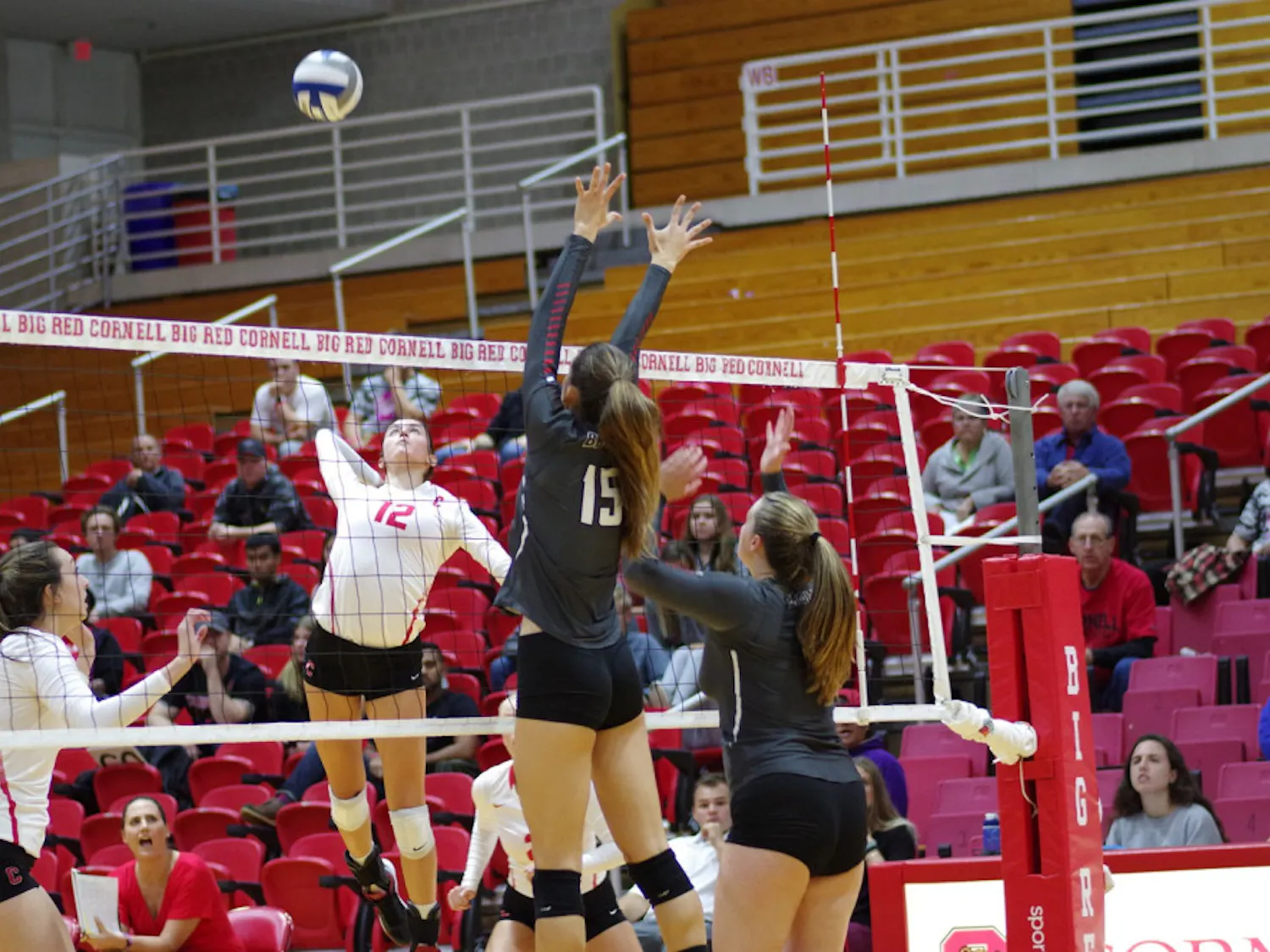 Vball1_AdrianBoteanuStaff