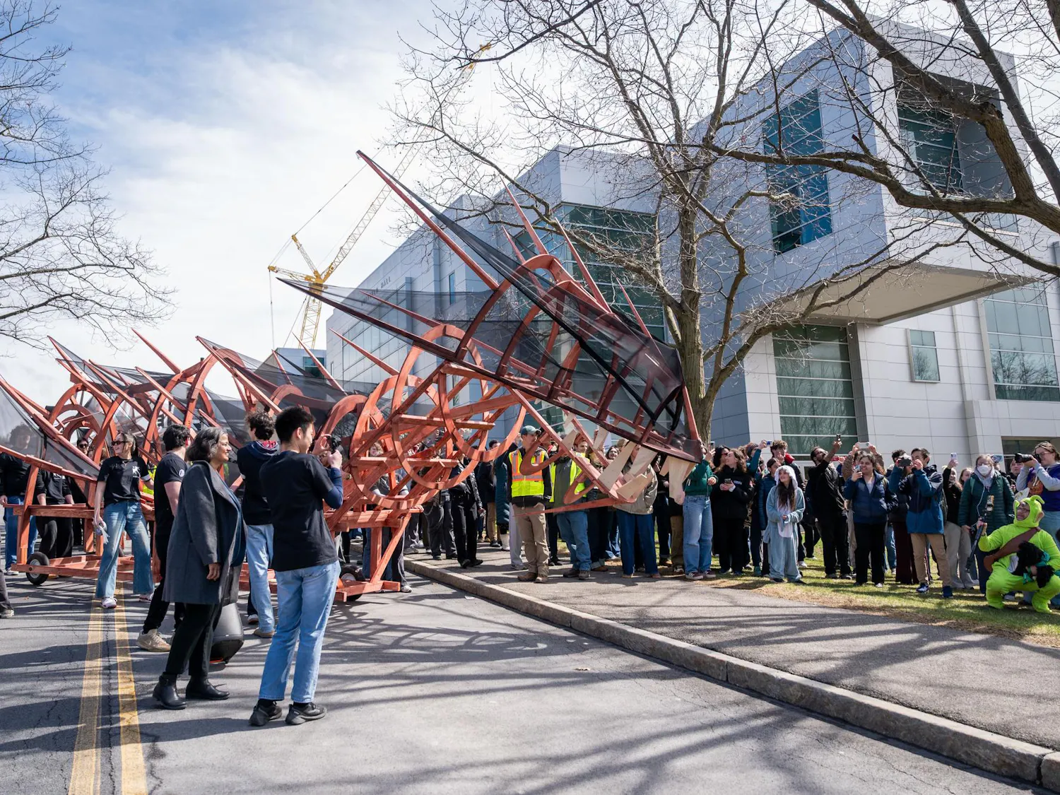 125 Dragon Day Gallery