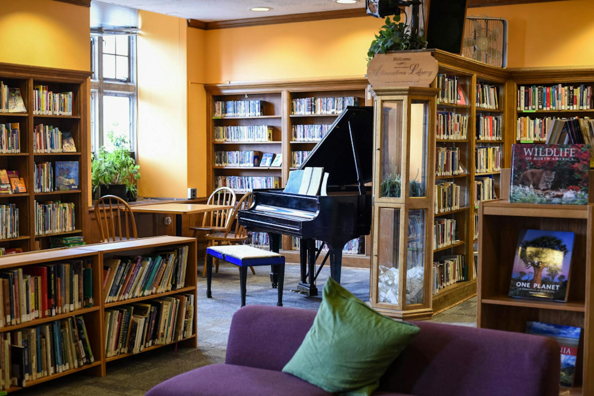 Pg-1-Prisoners-Express-by-Alice-Song-sun-file-photo