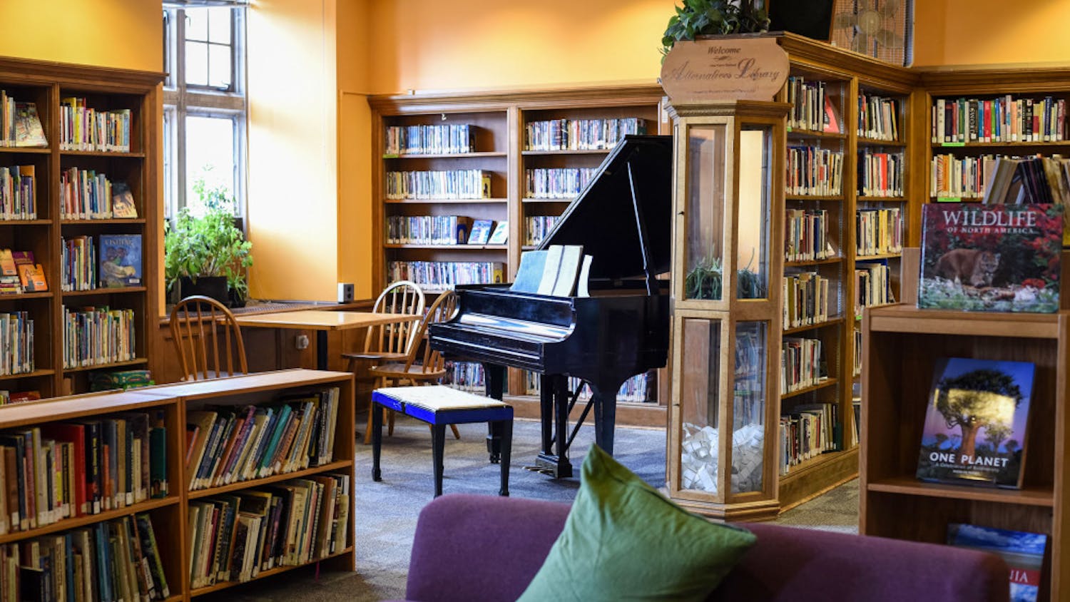 Pg-1-Prisoners-Express-by-Alice-Song-sun-file-photo