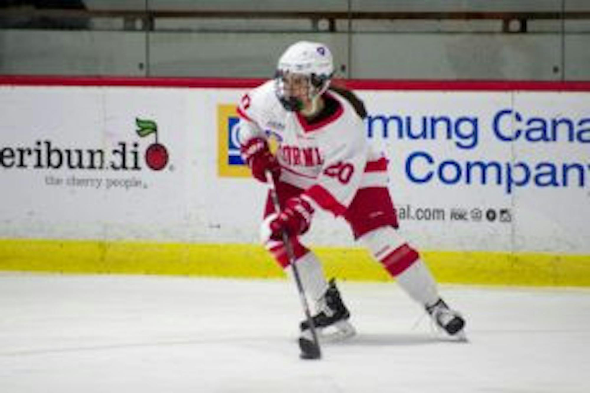 Adrian Boteanu / Sun Staff Photographer