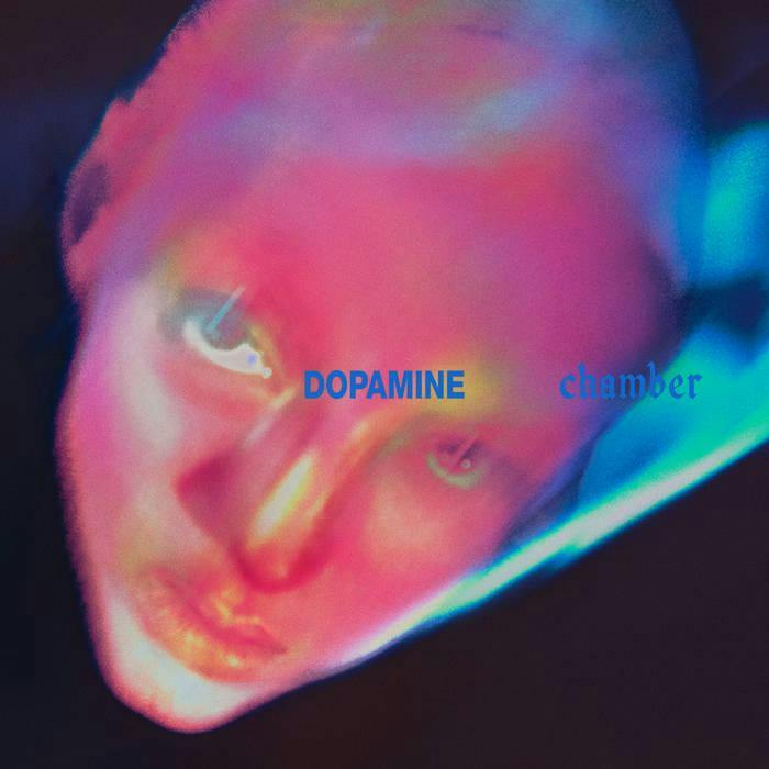 dopamine chamber.jpg
