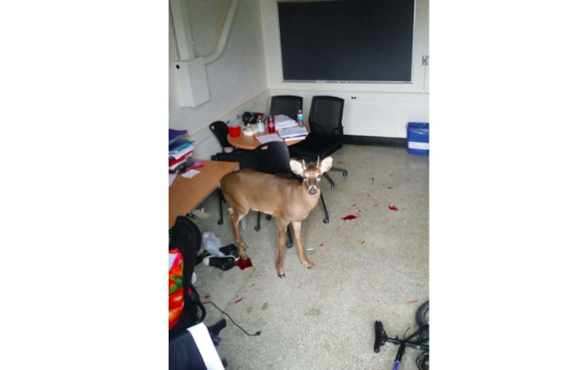 Screen-Shot-2017-11-16-at-6.25.26-PM