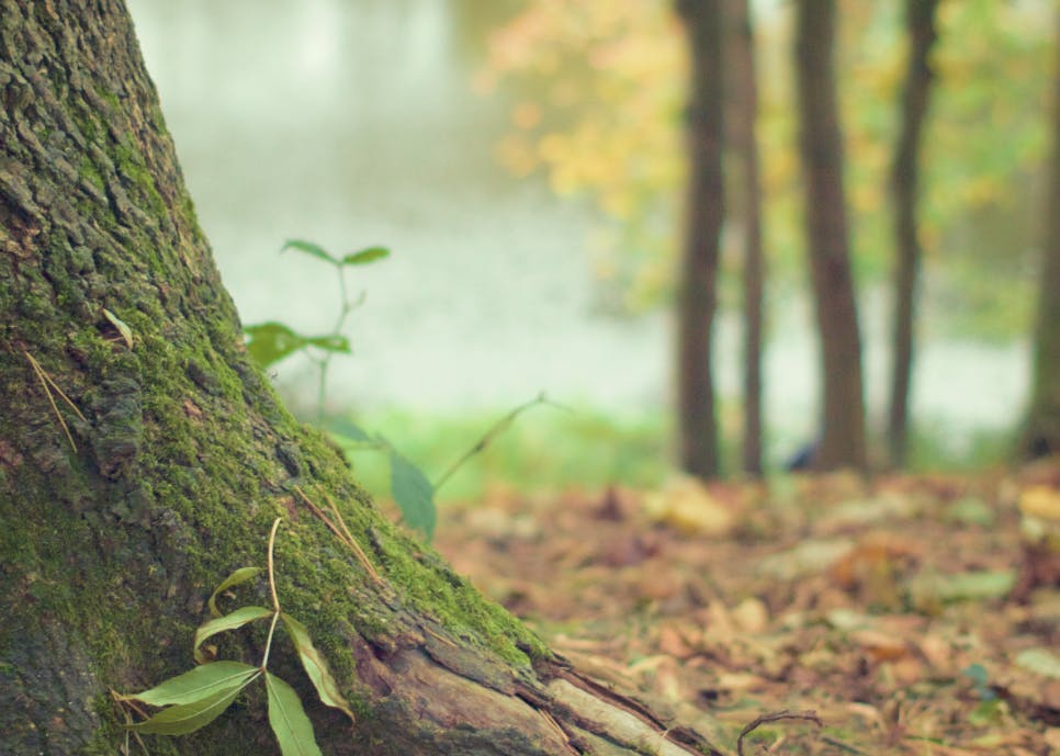 Screen-Shot-2016-04-20-at-8.16.20-AM