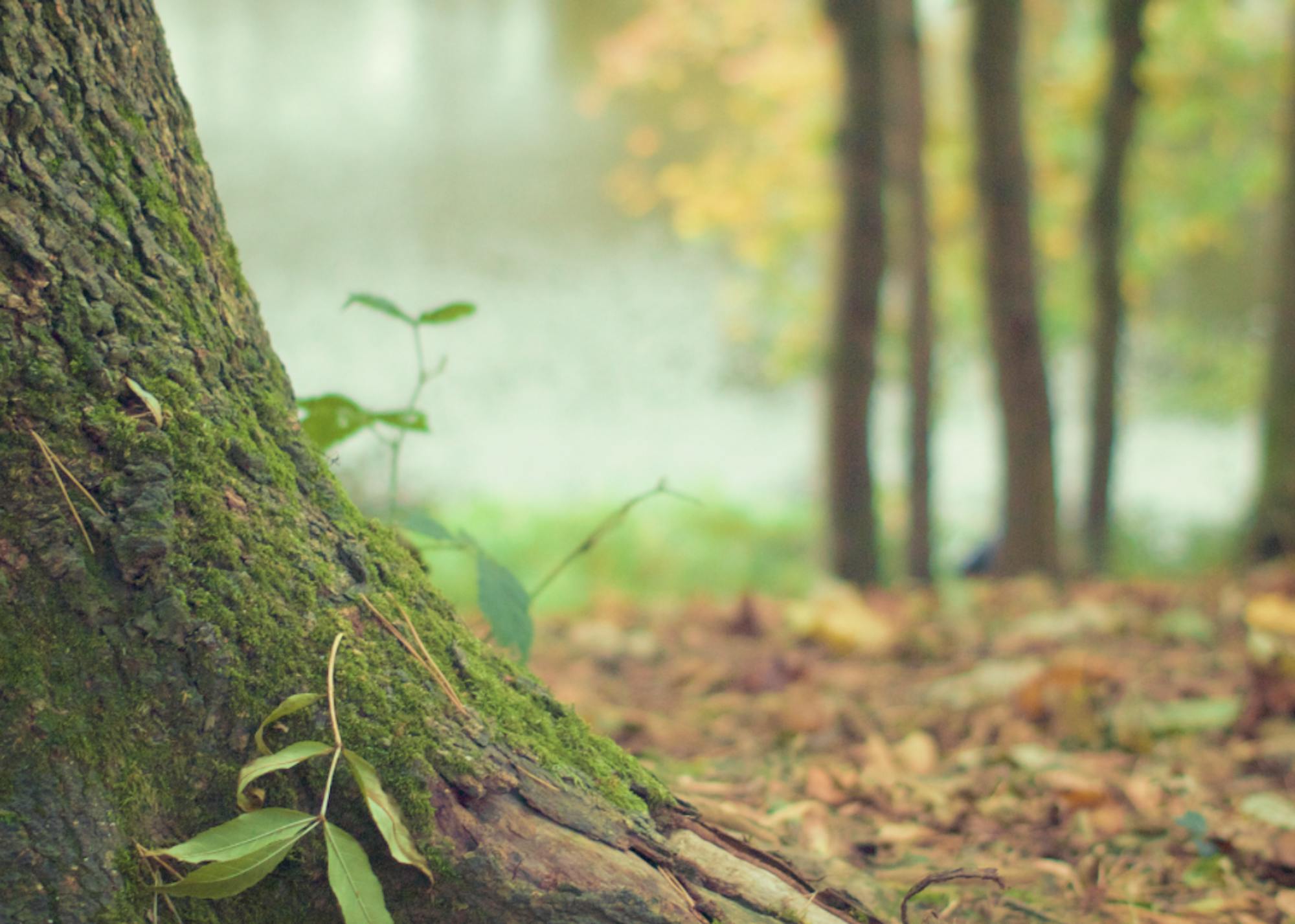 Screen-Shot-2016-04-20-at-8.16.20-AM