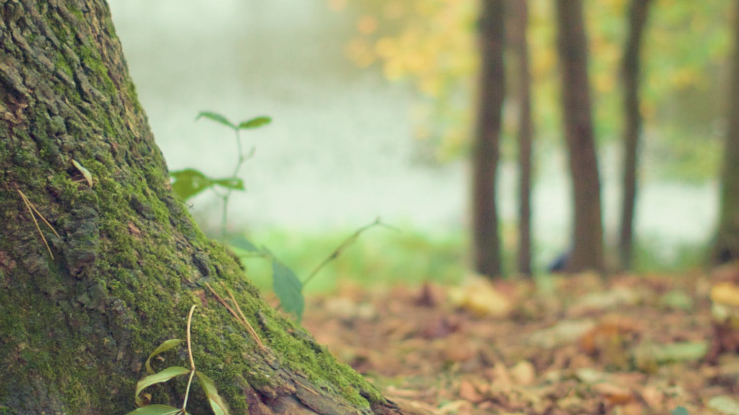 Screen-Shot-2016-04-20-at-8.16.20-AM