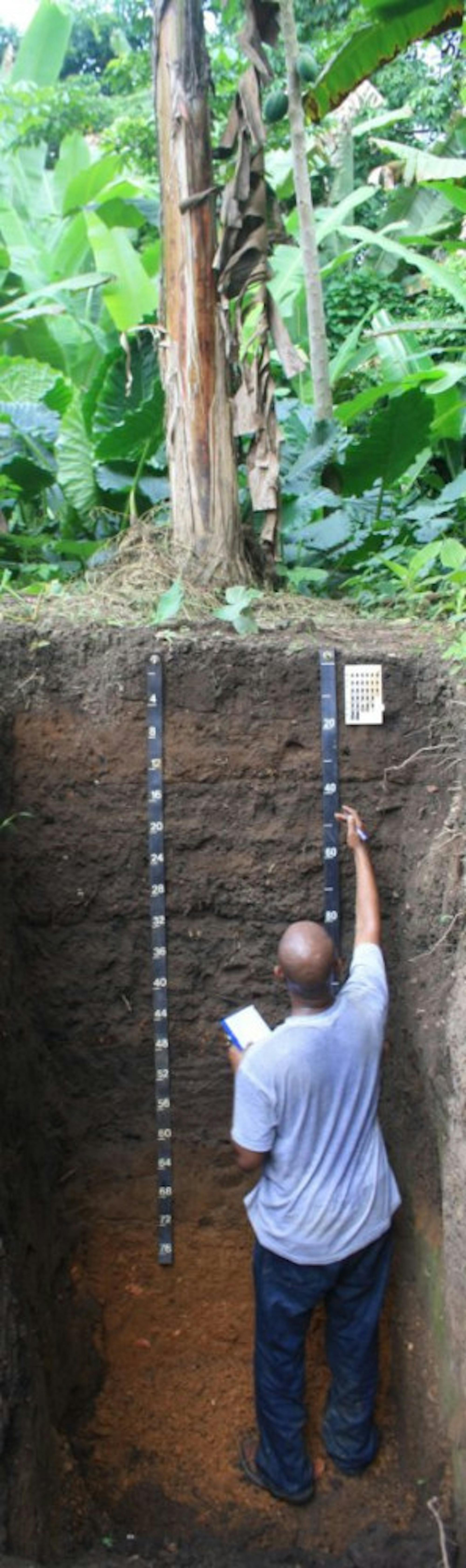 Dawit Solomon, a soil scientist at Cornell University, investigates the carbon accumulated in Liberian soil due to indigenous agricultural practices.