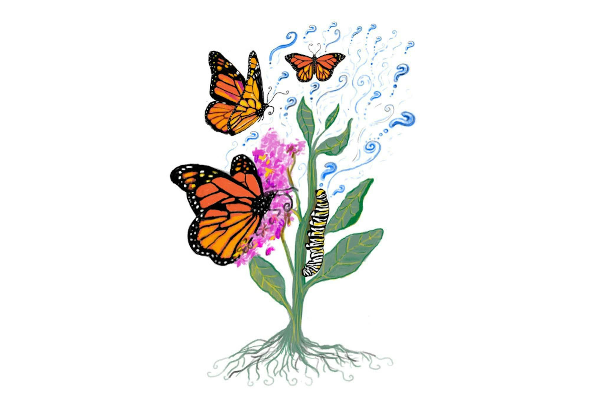 Agrawal-graphic
