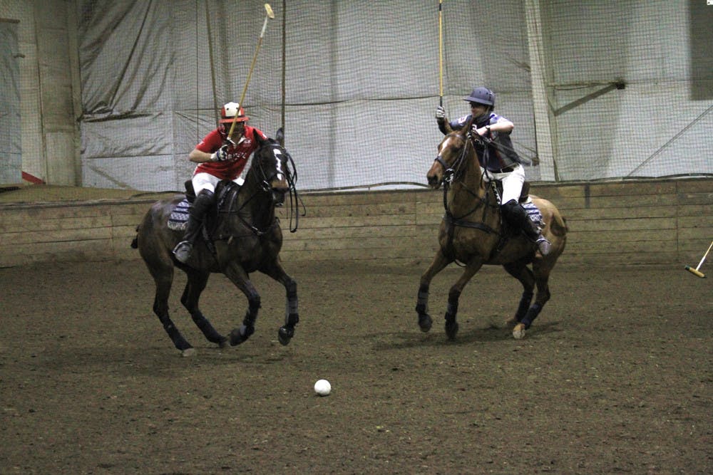 Pg-15-M-Polo-by-Dana-Daniels-Staff