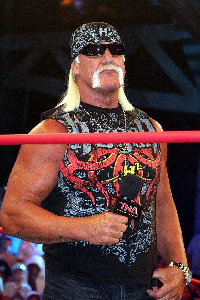 Hulkhogan.jpg