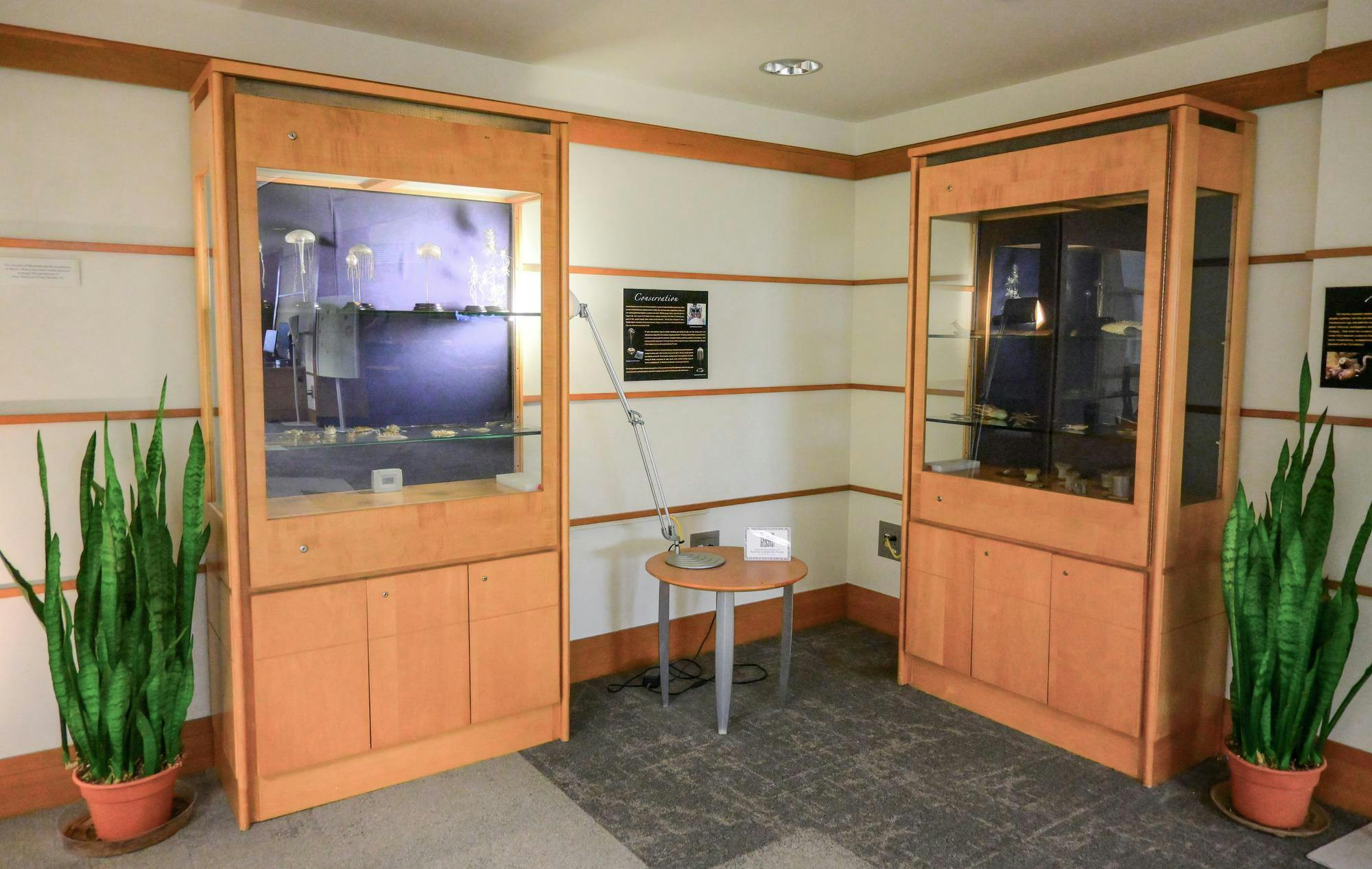 Two Cases of Blaschka Glass Models