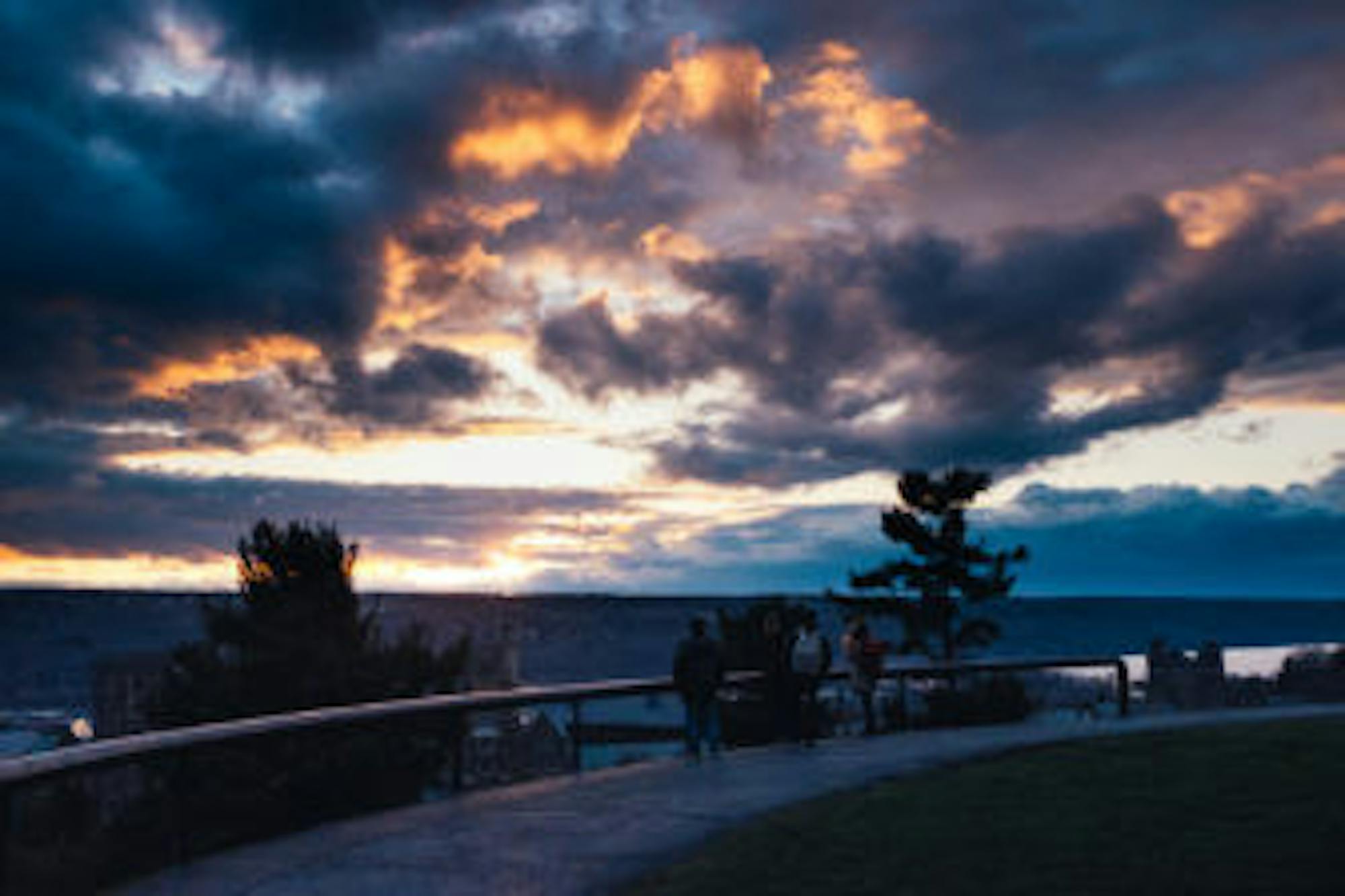 Cameron Pollack / Sun Photography Editor