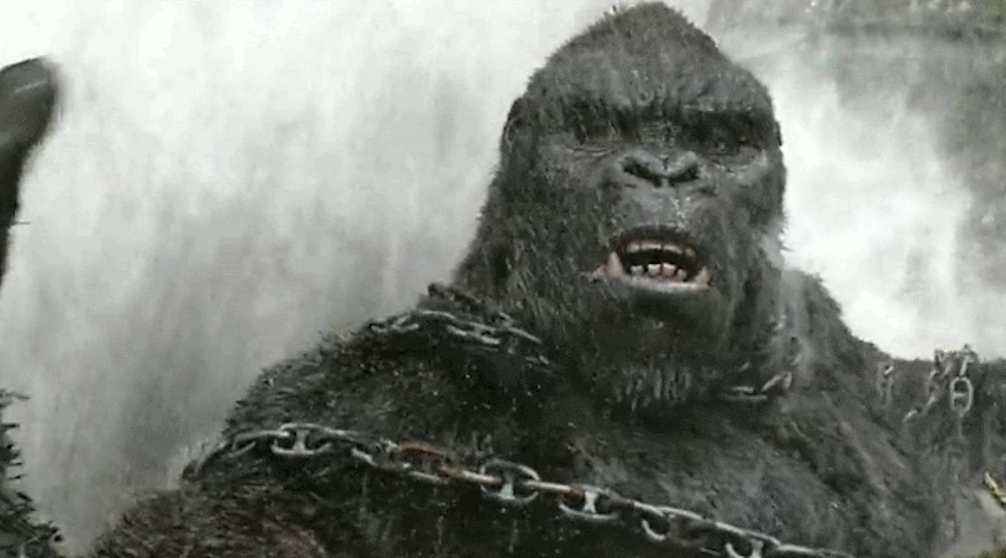 kong