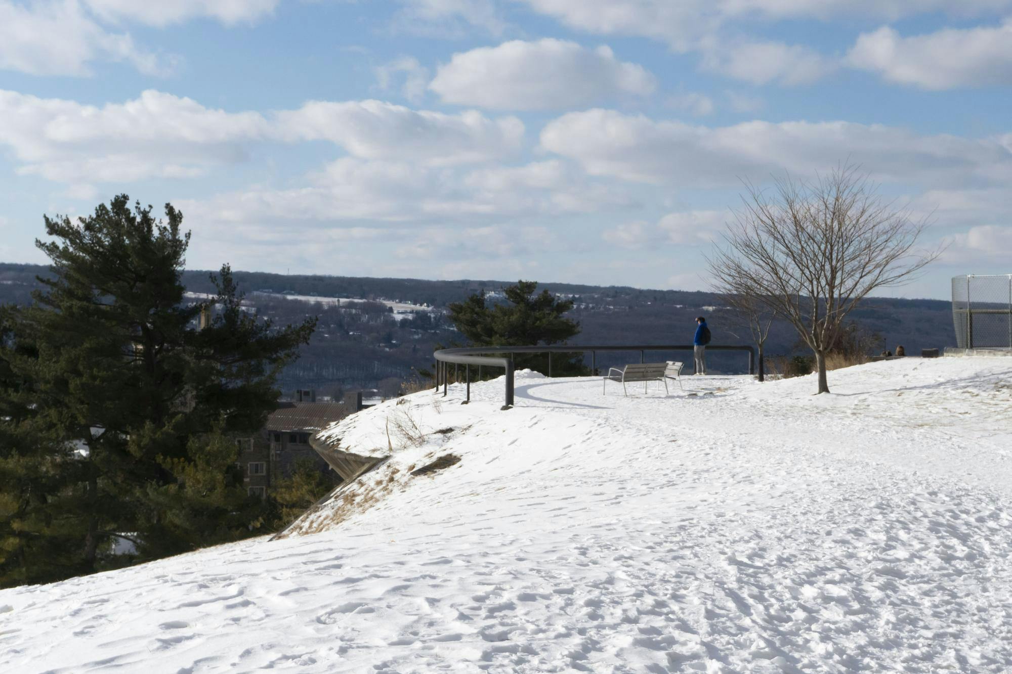 Snow Sunbursts Feb 2025 by Sophia Romanov Imber-5 (1).jpg