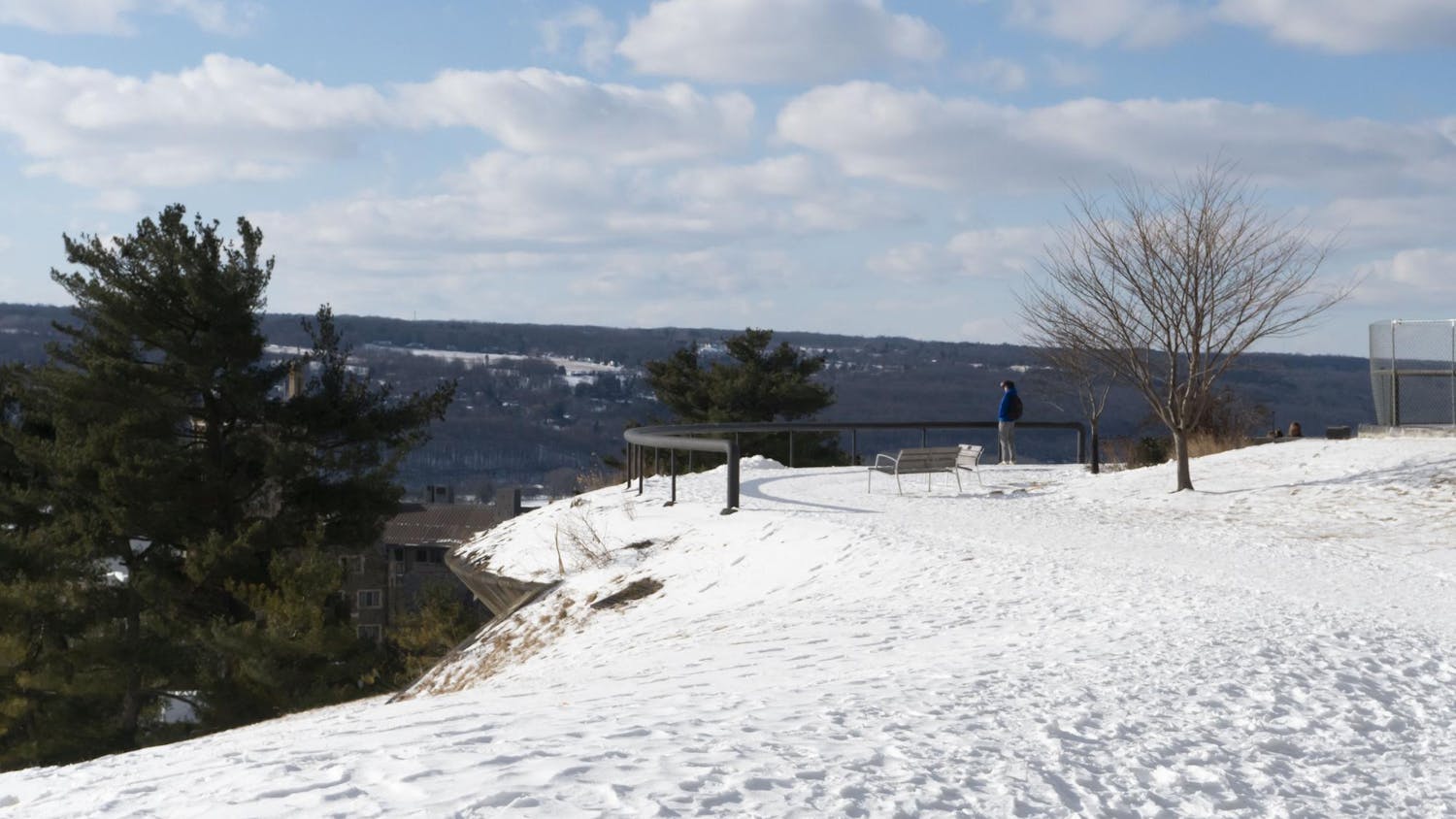 Snow Sunbursts Feb 2025 by Sophia Romanov Imber-5 (1).jpg