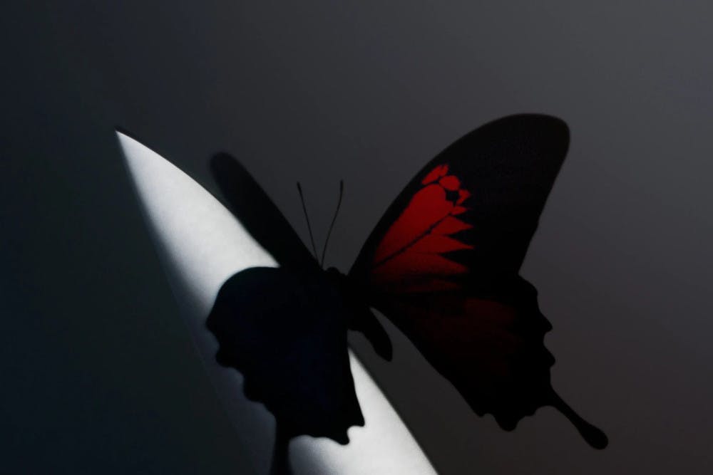 twelve-carat-toothache-cover-scaled