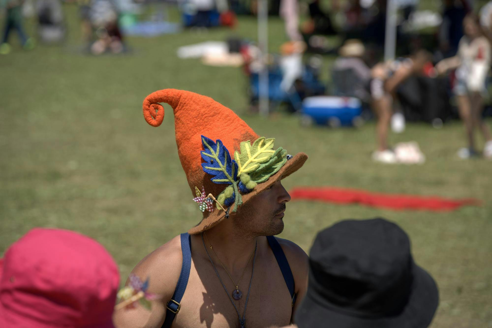 GrassRoots Festivalgoer.jpg