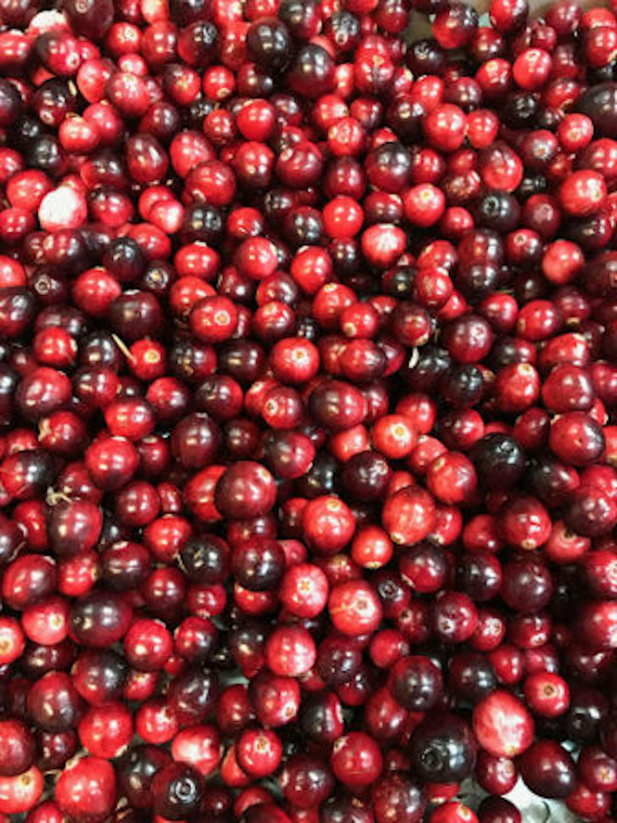 Jack Waxman / Sun Staff Writer