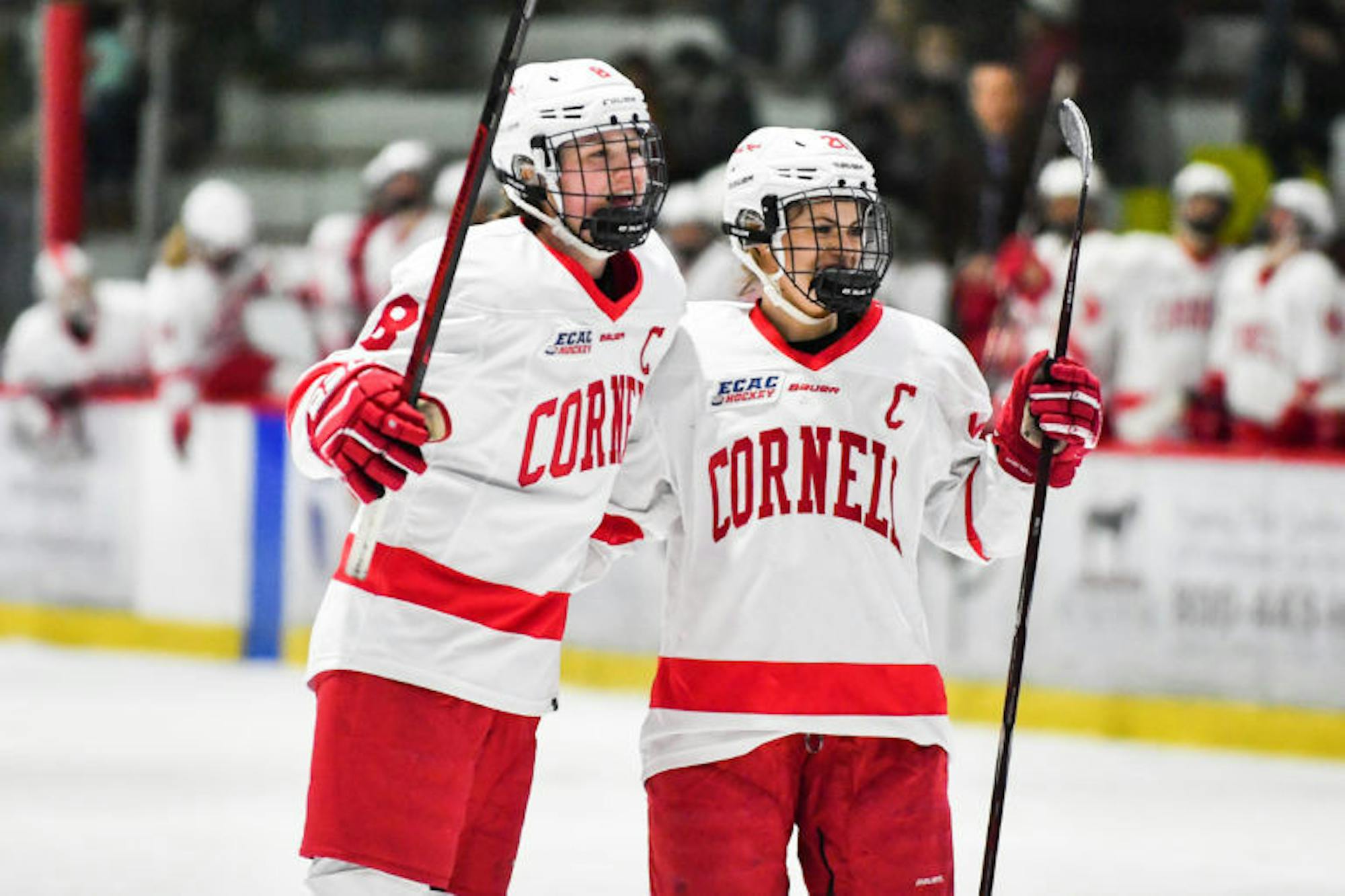 The women's hockey team celebrates after freshman forward Gillis Frechete scored her first career goal against Brown on Friday. The team went on to claim a 4-1 victory. (Ben Parker / Sun Staff Photographer)