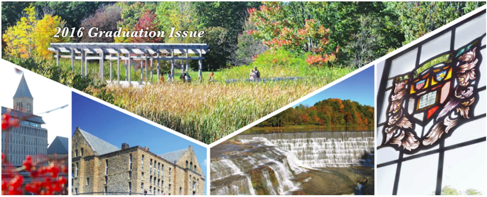 Screen-Shot-2016-05-26-at-10.42.59-AM