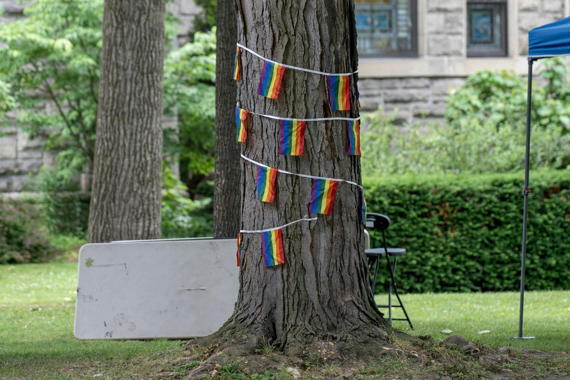 Tree.jpg