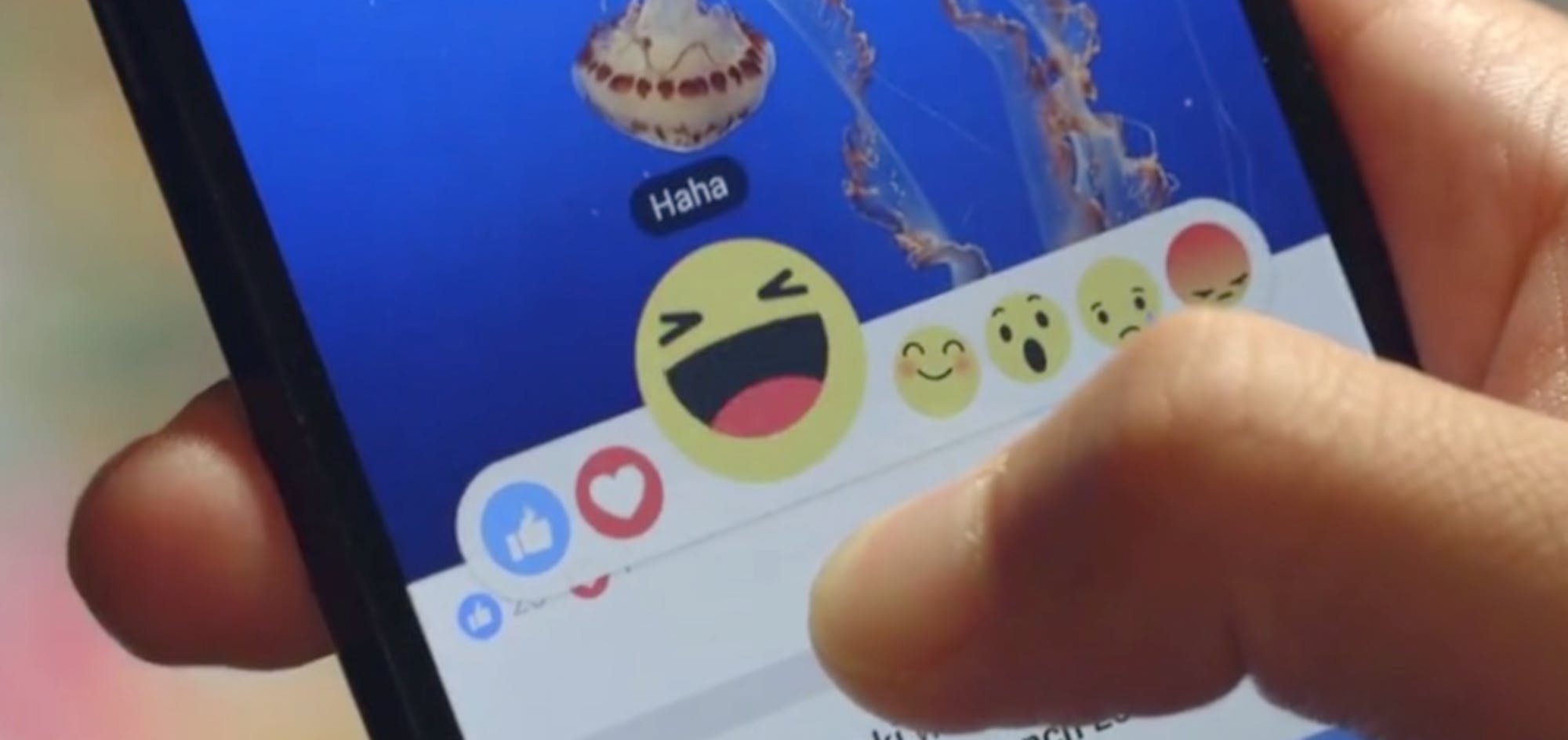 Screen-Shot-2016-02-26-at-11.39.27-AM