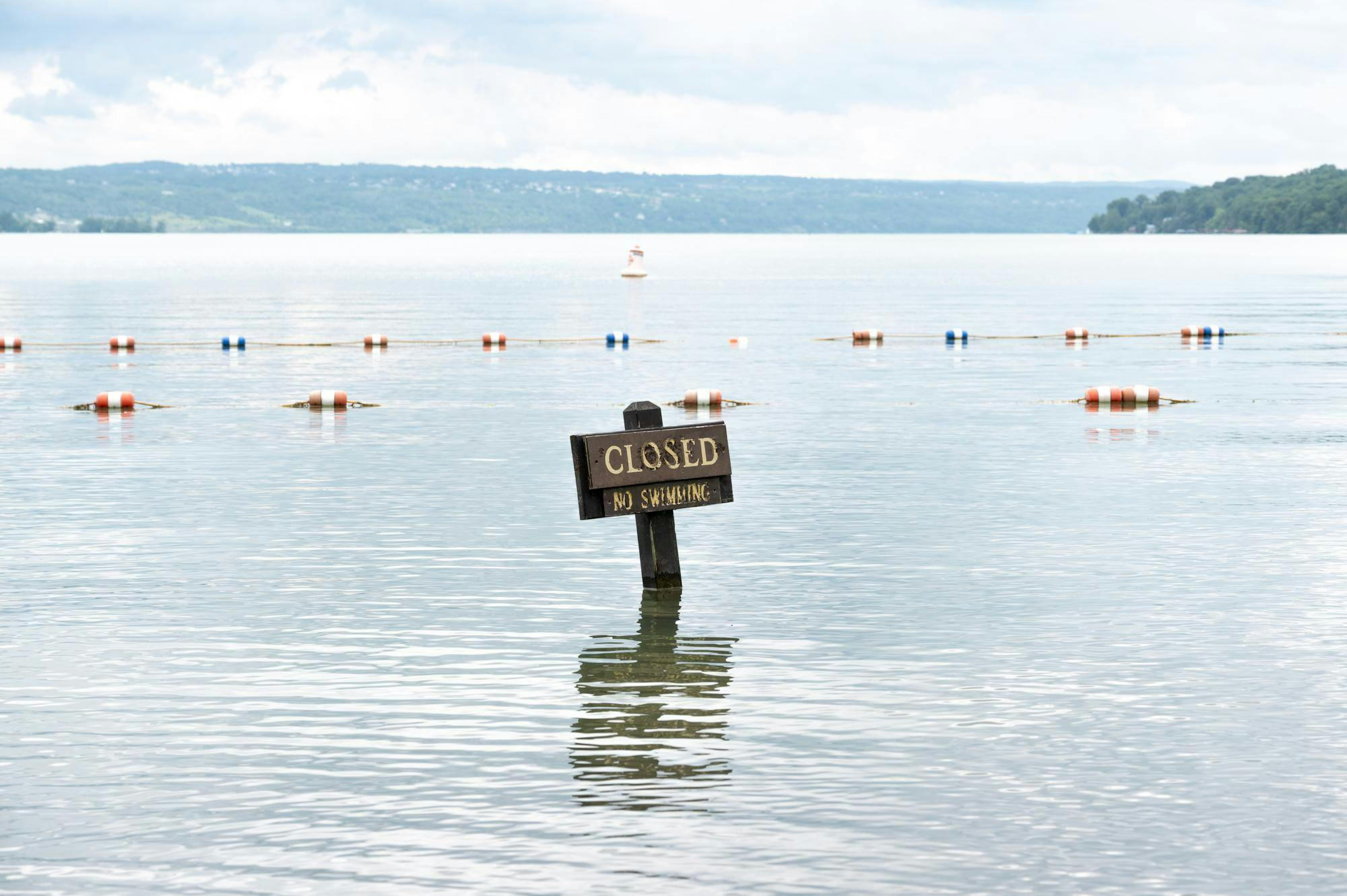 Cayuga Lake