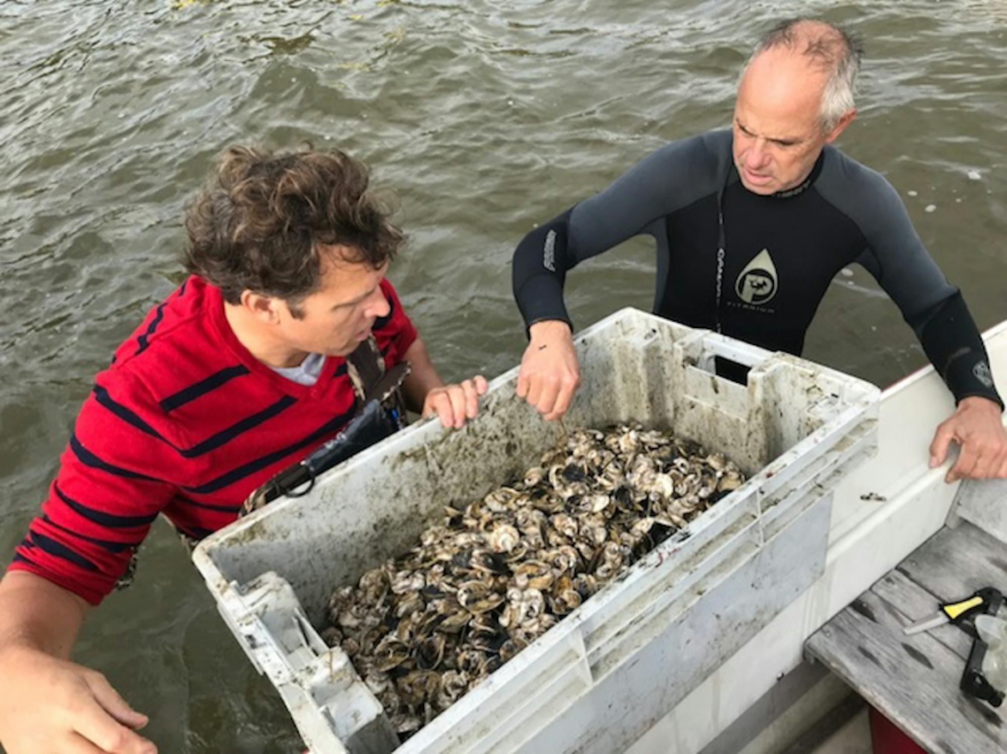 Thomas Shultz (left), President of Friends of Bellport Bay. (Photo courtesy of Friends of Bellport Bay)
