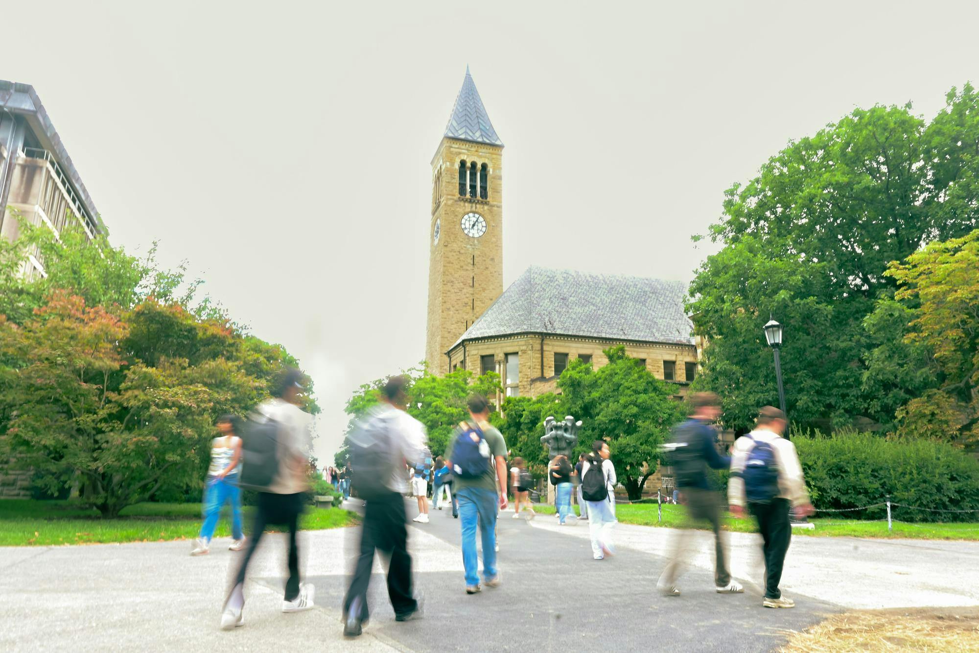 EDit DSC_4807-2.jpg